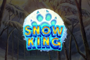 Арт слота Snow King